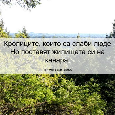Picture 06 - Притчи 30:26 BULG - Кролиците, които са слаби - Bible Verse Picture