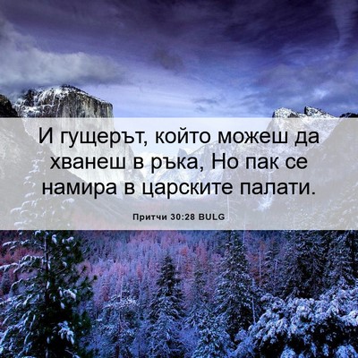 Picture 06 - Притчи 30:28 BULG - И гущерът, който можеш да - Bible Verse Picture