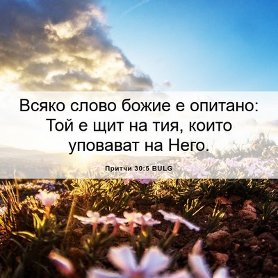 Picture 06 - Притчи 30:5 BULG - Всяко слово божие е - Bible Verse Picture