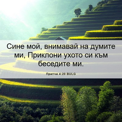 Picture 06 - Притчи 4:20 BULG - Сине мой, внимавай на - Bible Verse Picture