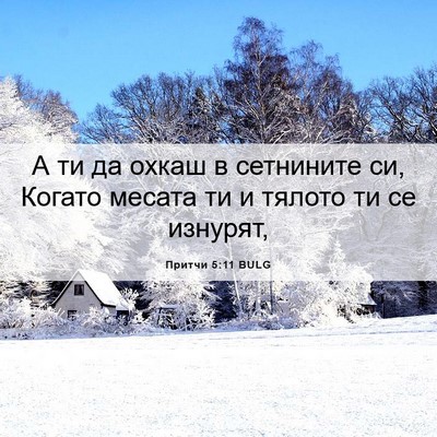 Picture 06 - Притчи 5:11 BULG - А ти да охкаш в сетнините - Bible Verse Picture