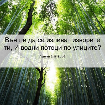 Picture 06 - Притчи 5:16 BULG - Вън ли да се изливат - Bible Verse Picture