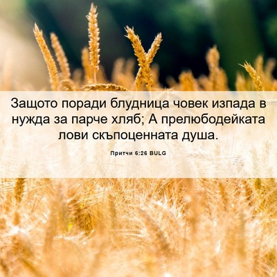 Picture 06 - Притчи 6:26 BULG - Защото поради блудница - Bible Verse Picture