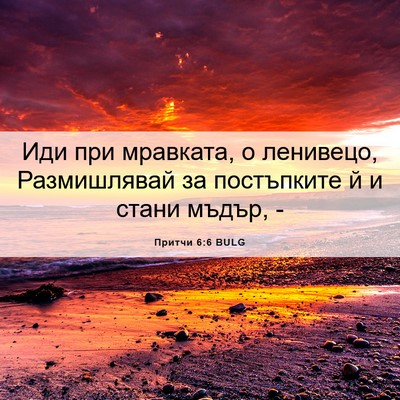 Picture 06 - Притчи 6:6 BULG - Иди при мравката, о - Bible Verse Picture