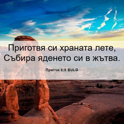 Picture 06 - Притчи 6:8 BULG - Приготвя си храната лете, - Bible Verse Picture