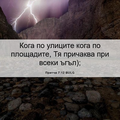 Picture 06 - Притчи 7:12 BULG - Кога по улиците кога по - Bible Verse Picture