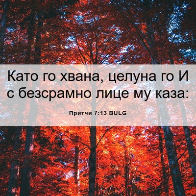 Picture 06 - Притчи 7:13 BULG - Като го хвана, целуна го И с - Bible Verse Picture