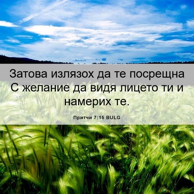 Picture 06 - Притчи 7:15 BULG - Затова излязох да те - Bible Verse Picture