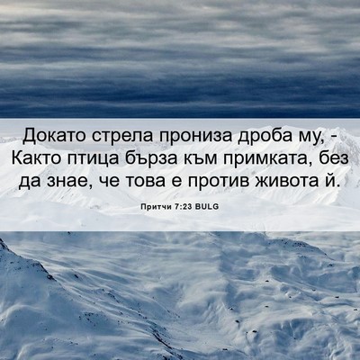 Picture 06 - Притчи 7:23 BULG - Докато стрела прониза - Bible Verse Picture