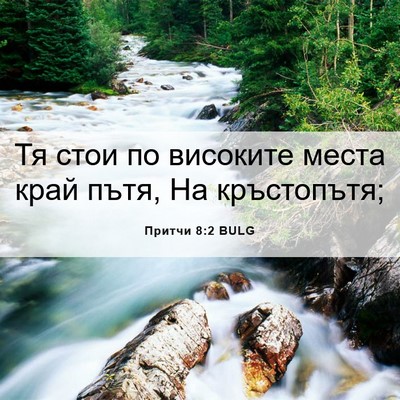 Picture 06 - Притчи 8:2 BULG - Тя стои по високите места - Bible Verse Picture