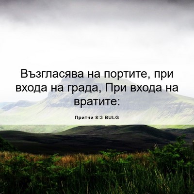 Picture 06 - Притчи 8:3 BULG - Възгласява на портите, при - Bible Verse Picture