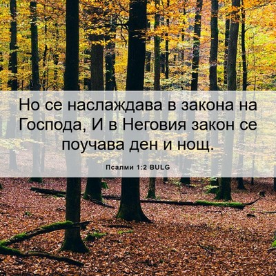 Picture 06 - Псалми 1:2 BULG - Но се наслаждава в закона - Bible Verse Picture