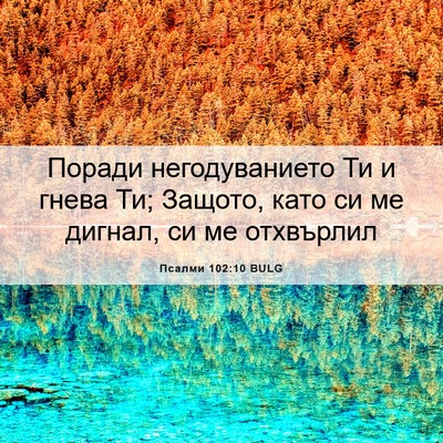 Picture 06 - Псалми 102:10 BULG - Поради негодуванието Ти и - Bible Verse Picture