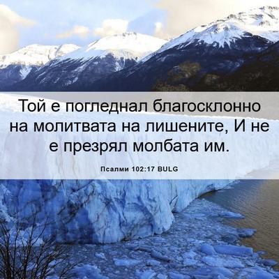 Picture 06 - Псалми 102:17 BULG - Той е погледнал - Bible Verse Picture