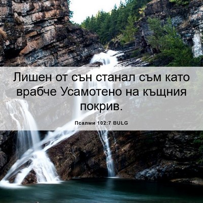 Picture 06 - Псалми 102:7 BULG - Лишен от сън станал съм - Bible Verse Picture