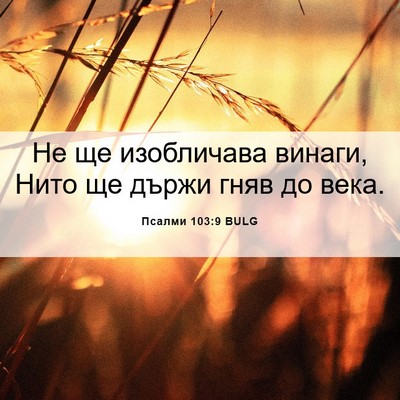 Picture 06 - Псалми 103:9 BULG - Не ще изобличава винаги, - Bible Verse Picture