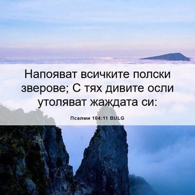 Picture 06 - Псалми 104:11 BULG - Напояват всичките полски - Bible Verse Picture