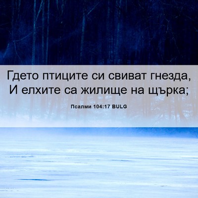 Picture 06 - Псалми 104:17 BULG - Гдето птиците си свиват - Bible Verse Picture