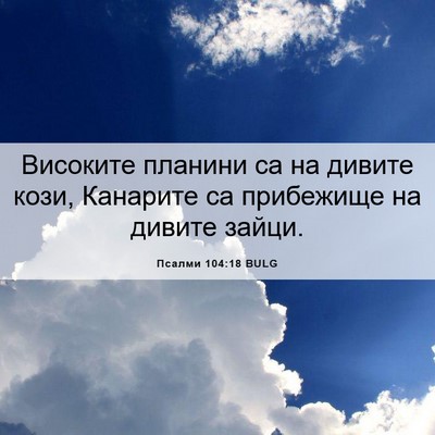 Picture 06 - Псалми 104:18 BULG - Високите планини са на - Bible Verse Picture