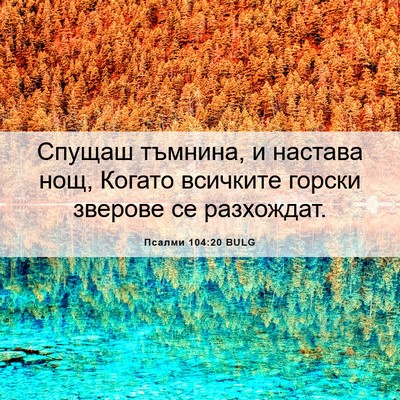 Picture 06 - Псалми 104:20 BULG - Спущаш тъмнина, и настава - Bible Verse Picture