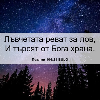 Picture 06 - Псалми 104:21 BULG - Лъвчетата реват за лов, И - Bible Verse Picture
