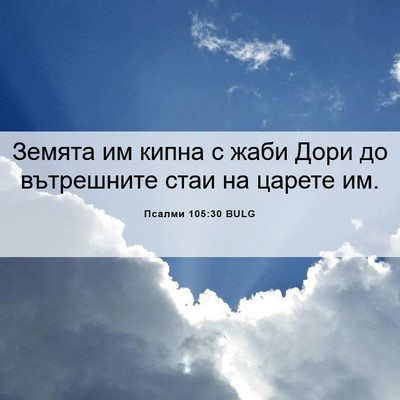 Picture 06 - Псалми 105:30 BULG - Земята им кипна с жаби Дори - Bible Verse Picture