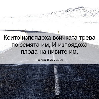 Picture 06 - Псалми 105:35 BULG - Които изпоядоха всичката - Bible Verse Picture