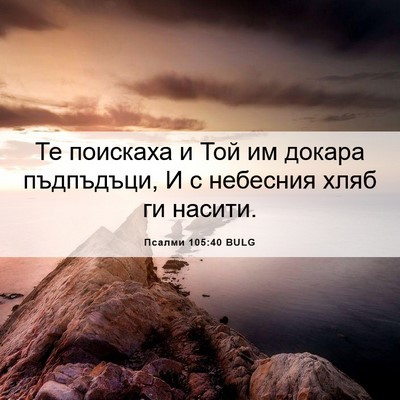 Picture 06 - Псалми 105:40 BULG - Те поискаха и Той им докара - Bible Verse Picture