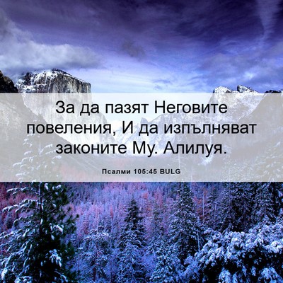 Picture 06 - Псалми 105:45 BULG - За да пазят Неговите - Bible Verse Picture
