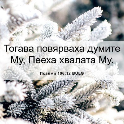 Picture 06 - Псалми 106:12 BULG - Тогава повярваха думите - Bible Verse Picture