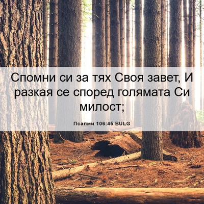 Picture 06 - Псалми 106:45 BULG - Спомни си за тях Своя - Bible Verse Picture