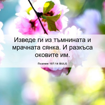 Picture 06 - Псалми 107:14 BULG - Изведе ги из тъмнината и - Bible Verse Picture