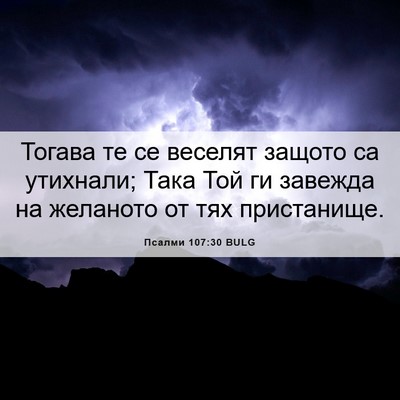 Picture 06 - Псалми 107:30 BULG - Тогава те се веселят - Bible Verse Picture