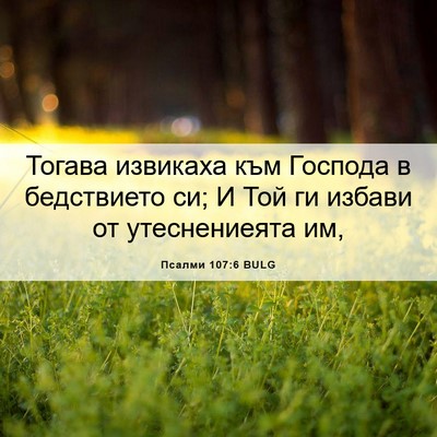 Picture 06 - Псалми 107:6 BULG - Тогава извикаха към - Bible Verse Picture