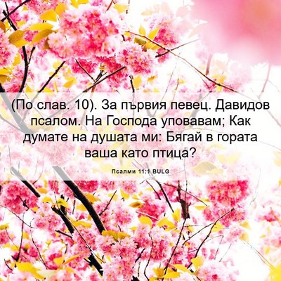 Picture 06 - Псалми 11:1 BULG - (По слав. 10). За първия - Bible Verse Picture
