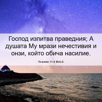 Picture 06 - Псалми 11:5 BULG - Господ изпитва праведния; - Bible Verse Picture
