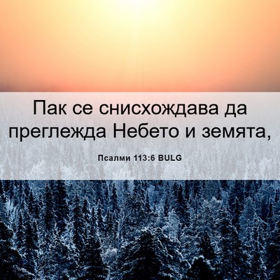 Picture 06 - Псалми 113:6 BULG - Пак се снисхождава да - Bible Verse Picture