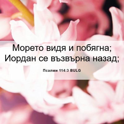 Picture 06 - Псалми 114:3 BULG - Морето видя и побягна; - Bible Verse Picture