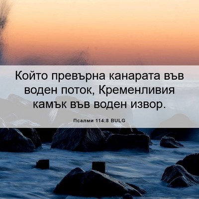 Picture 06 - Псалми 114:8 BULG - Който превърна канарата - Bible Verse Picture