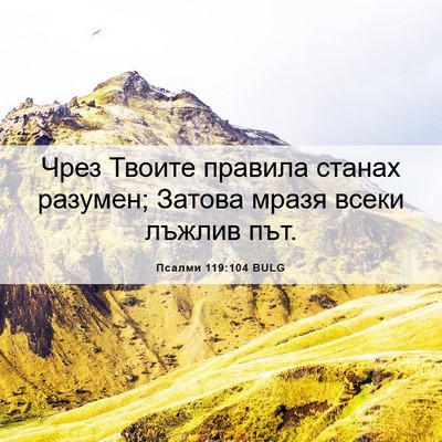 Picture 06 - Псалми 119:104 BULG - Чрез Твоите правила станах - Bible Verse Picture