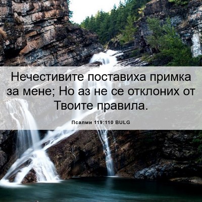 Picture 06 - Псалми 119:110 BULG - Нечестивите поставиха - Bible Verse Picture
