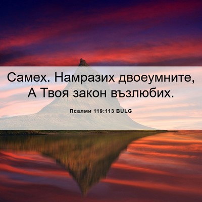 Picture 06 - Псалми 119:113 BULG - Самех. Намразих - Bible Verse Picture