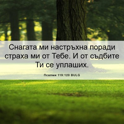 Picture 06 - Псалми 119:120 BULG - Снагата ми настръхна - Bible Verse Picture