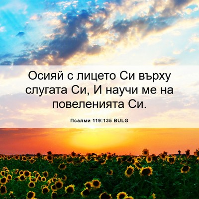 Picture 06 - Псалми 119:135 BULG - Осияй с лицето Си върху - Bible Verse Picture