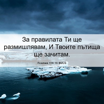 Picture 06 - Псалми 119:15 BULG - За правилата Ти ще - Bible Verse Picture