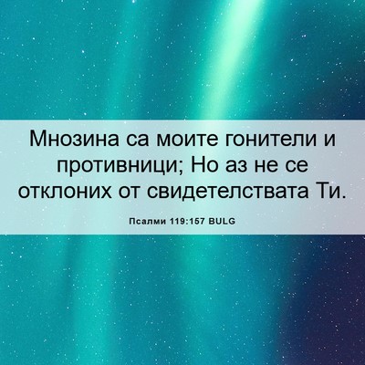 Picture 06 - Псалми 119:157 BULG - Мнозина са моите гонители - Bible Verse Picture