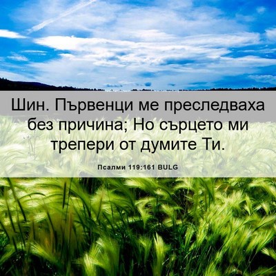 Picture 06 - Псалми 119:161 BULG - Шин. Първенци ме - Bible Verse Picture