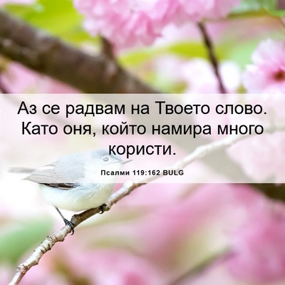 Picture 06 - Псалми 119:162 BULG - Аз се радвам на Твоето - Bible Verse Picture