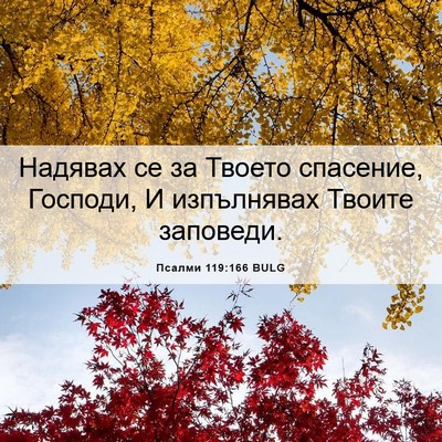 Picture 06 - Псалми 119:166 BULG - Надявах се за Твоето - Bible Verse Picture