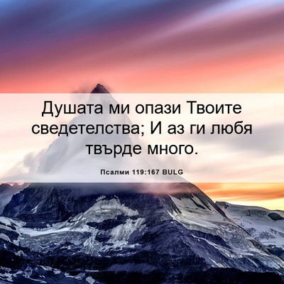 Picture 06 - Псалми 119:167 BULG - Душата ми опази Твоите - Bible Verse Picture